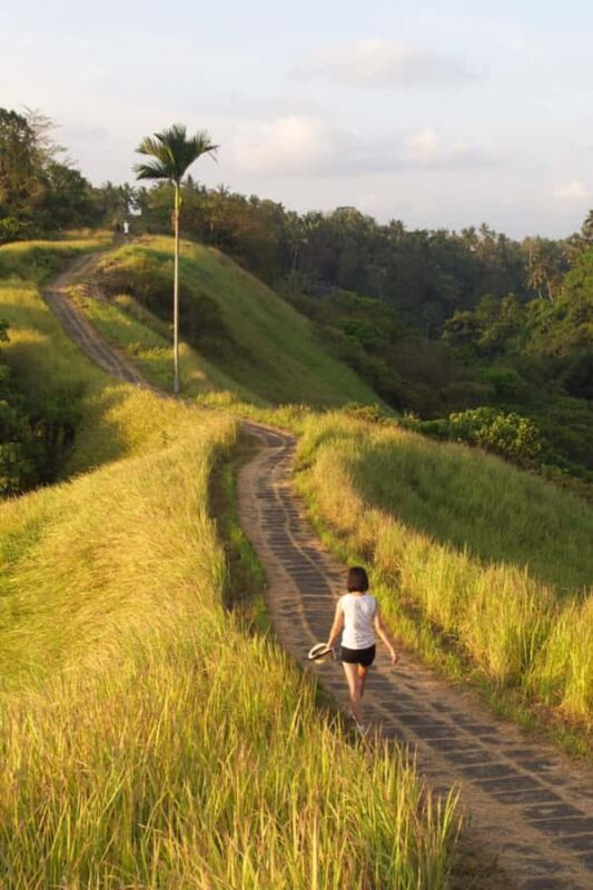 Ubud: Temple, Waterfall, Rice Terrace, Ubud Market & Palace - Introducing the Bali Ubud Highlights Tour