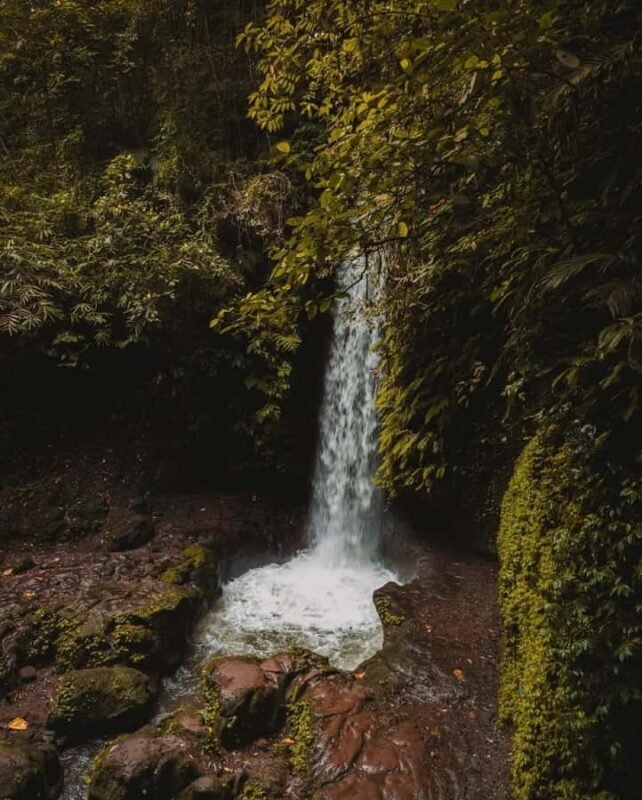 Ubud: Temple, Waterfall, Rice Terrace, Ubud Market & Palace - The Iconic Ubud Rice Terrace