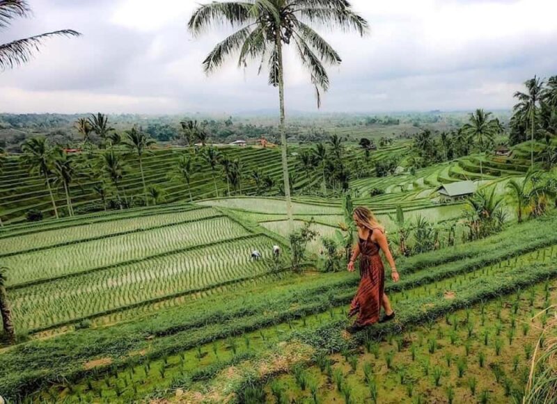 Ubud: Temple, Waterfall, Rice Terrace, Ubud Market & Palace - Practical Details & What You Can Expect