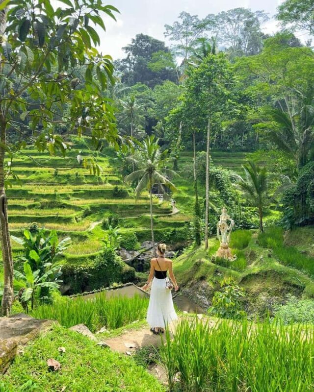 Ubud: Temple, Waterfall, Rice Terrace, Ubud Market & Palace - Authenticity & Overall Experience