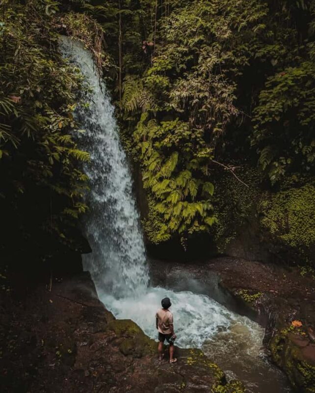 Ubud: Temple, Waterfall, Rice Terrace, Ubud Market & Palace - Final Thoughts