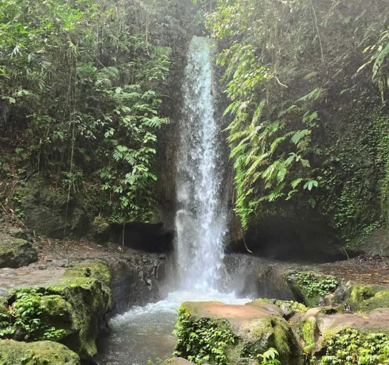 Ubud-Tgll: Telaga Waja Kenderan and Manuaba Waterfall Tour - Transportation & Pricing