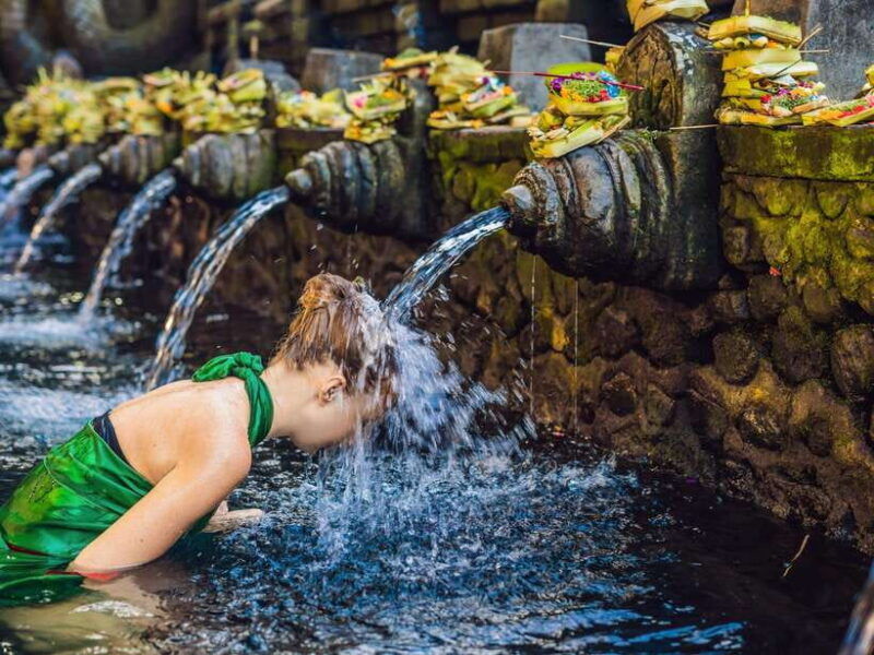 ubud-tirta-empul-gunung-kawi-and-ulu-petanu-waterfall