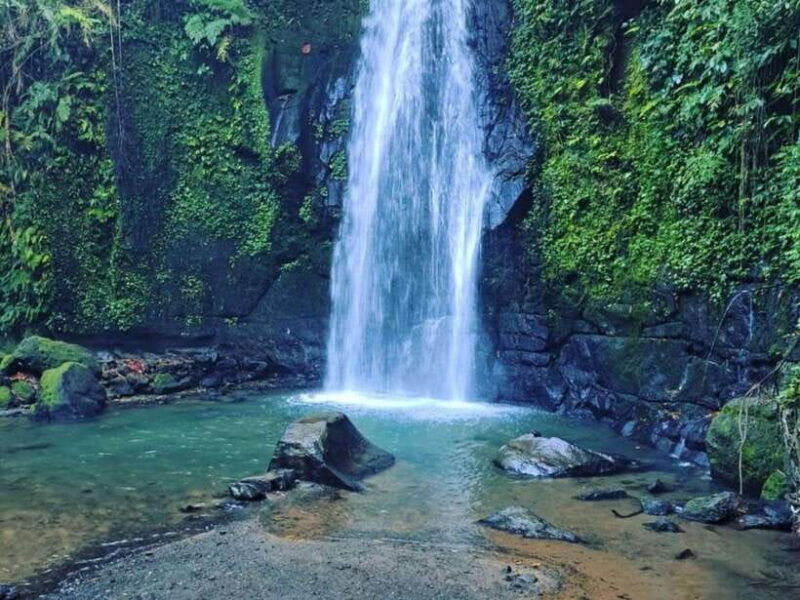 ubud-tirta-empul-gunung-kawi-and-ulu-petanu-waterfall