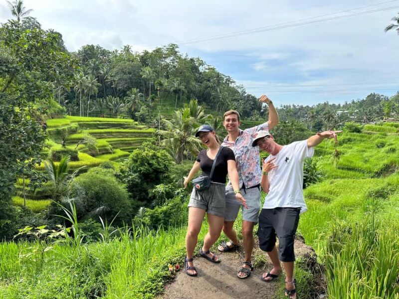Ubud: Tirta Empul, Rice Terrace, Waterfall and Custom Tour - An In-Depth Look at the Itinerary