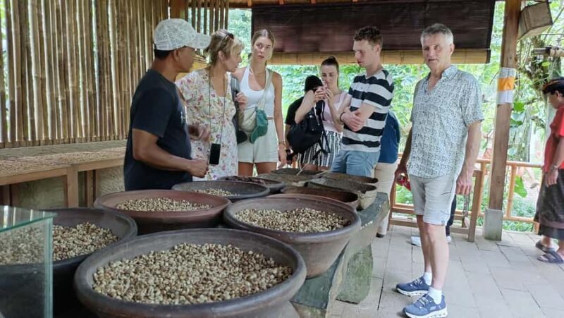 Ubud: Tirta Empul, Rice Terrace, Waterfall and Custom Tour - Practical Tips for Your Tour Experience