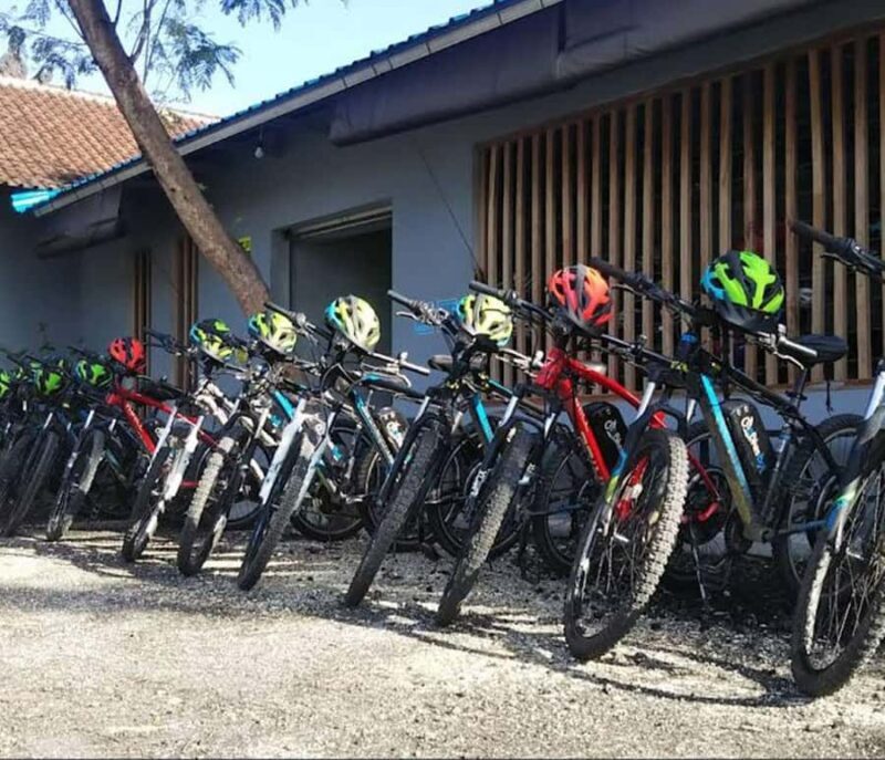 Ubud: Tirta Empul Temple E-Bike Tour with Lunch - Key Points