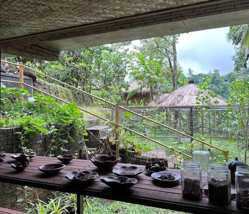 Ubud: Tirta Empul Temple E-Bike Tour with Lunch - The Sum Up: Who Will Love This Experience?