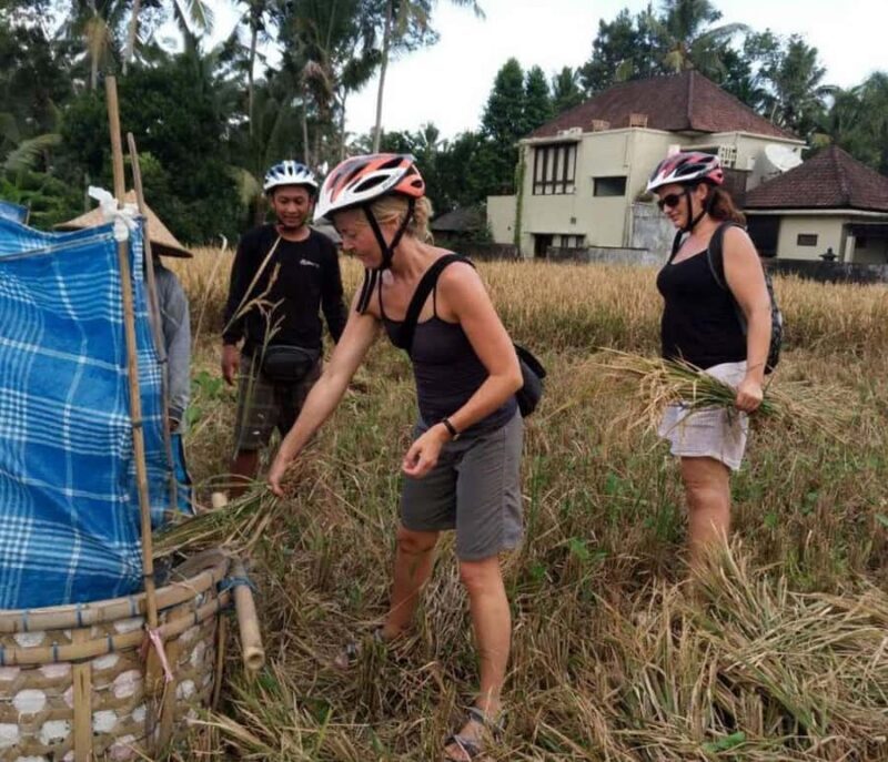 Ubud: Tirta Empul Temple E-Bike Tour with Lunch - Frequently Asked Questions