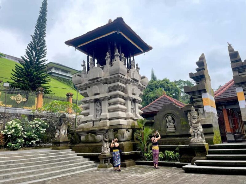 Ubud: Tirta empul temple, Rice terrace and Waterfall - Key Points