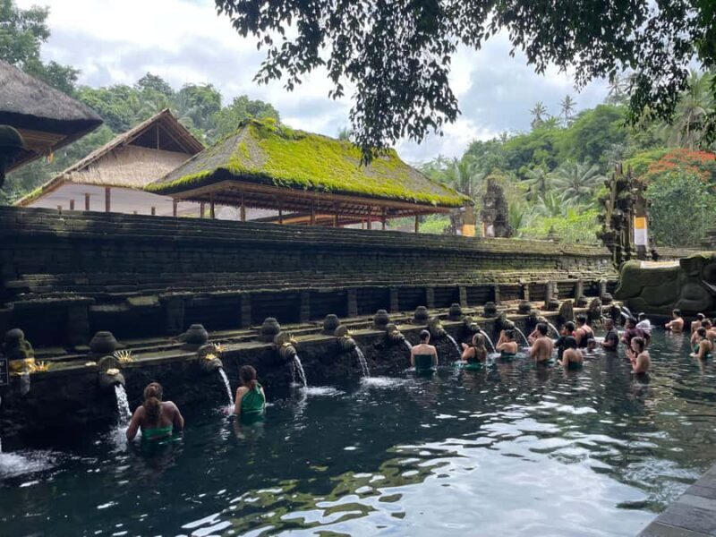 Ubud: Tirta empul temple, Rice terrace and Waterfall - Final Thoughts: Who Will Love This Tour?