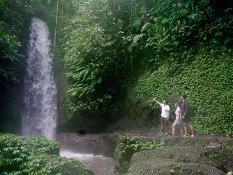 ubud-tirta-empul-temple-rice-terraces-and-waterfall-tour