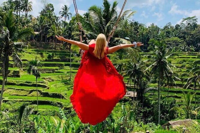 Ubud Tirta Empul Temple with Rice Terrace and Bali Jungle Swing - Key Points