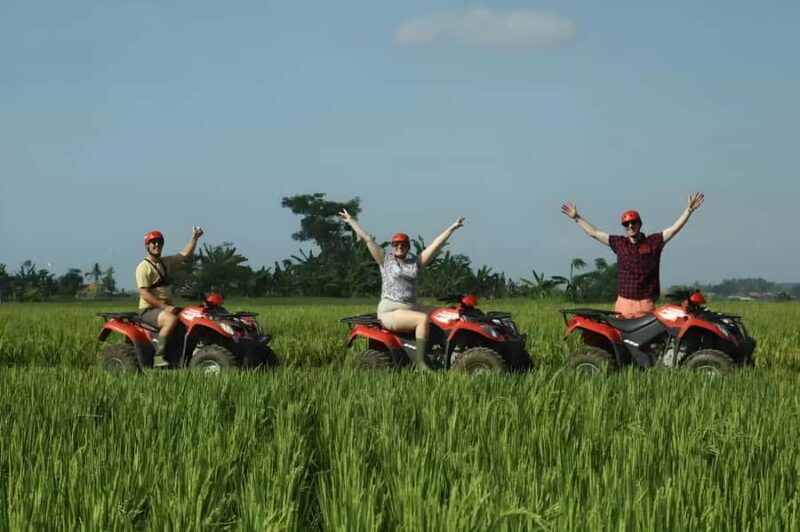 Ubud: Top-Rated ATV  Great Value Quad Bike Tour in Bali - The Sum Up