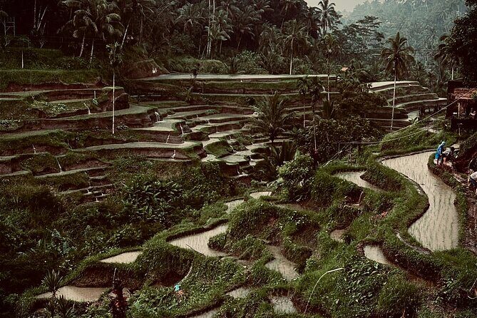 Ubud Top Tours to Discover Balis Cultural and Natural Wonders - What’s Included and What to Consider