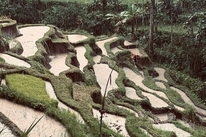 Ubud Top Tours to Discover Balis Cultural and Natural Wonders - Authentic Experiences and Cultural Insights