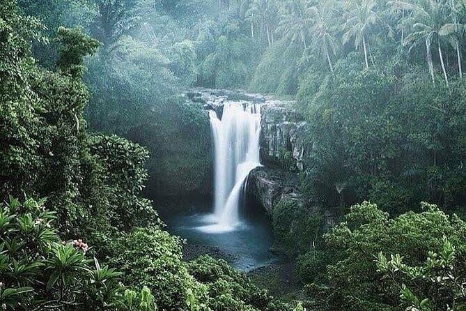 Ubud Top Tours to Discover Balis Cultural and Natural Wonders - Final Thoughts: Who Will Love This Tour?