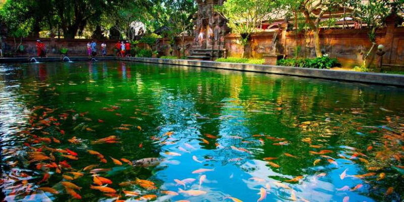 ubud-tour-explore-the-best-places-in-ubud-area