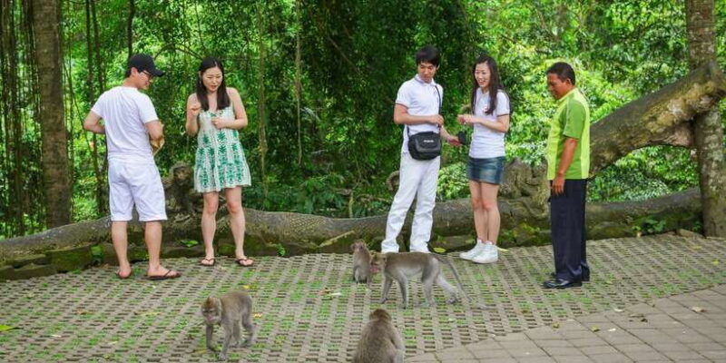 ubud-tour-explore-the-best-places-in-ubud-area