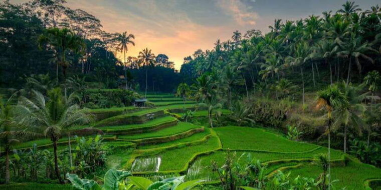 ubud-tour-explore-the-best-places-in-ubud-area