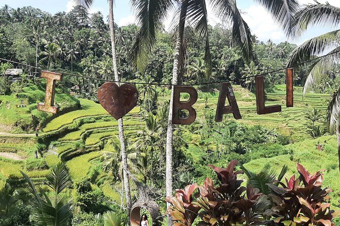Ubud Tour - Highlights of Ubud - Final Thoughts