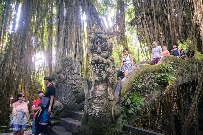 Ubud Tour: Monkey Forest, Rice Terrace, Waterfall, Water Temple - Transportation & Overall Experience