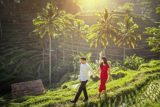 Ubud Tour - Monkey Forest, Temple, Waterfall, and Rice Terrace - A Closer Look at the Itinerary