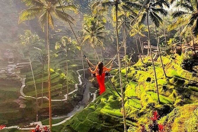 Ubud Tour (Monkey Forest, Tirta Empul Temple, Waterfall, Rice Terrace and Swing) - Exploring Ubud’s Top Attractions: What to Expect