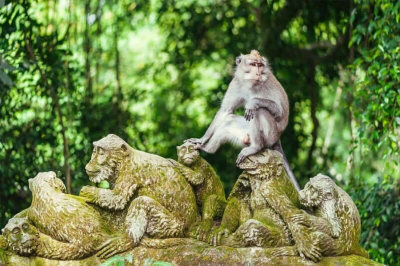 Ubud Tour: Monkey Forest, Water Temple & Jungle Club Fun Day - Key Points
