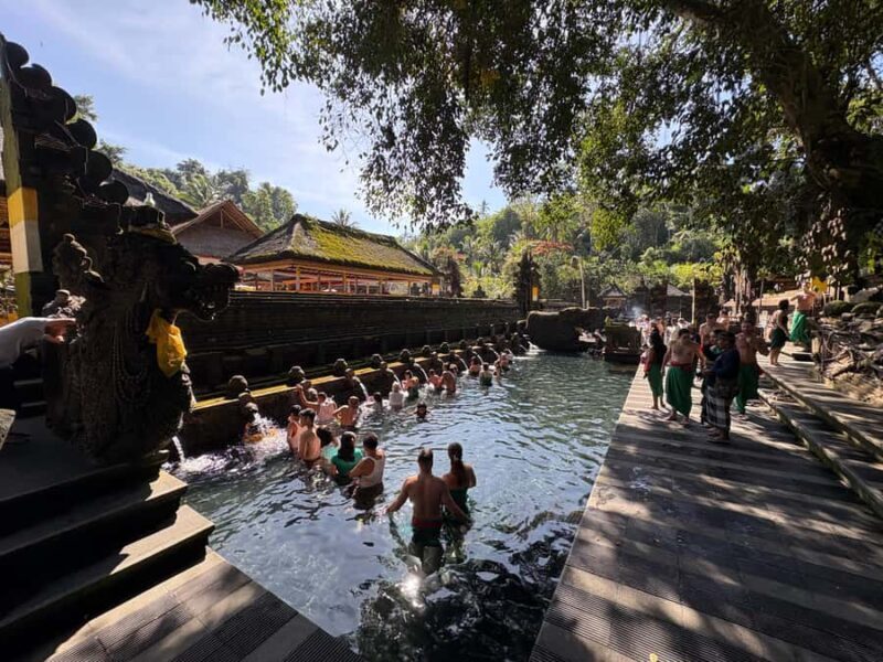 Ubud Tour: Monkey Forest, Water Temple & Jungle Club Fun Day - Who Should Consider This Tour?
