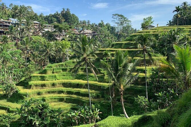 Ubud Tour Sacred Temple Waterfall Rice Terrace and Art Village - Key Points
