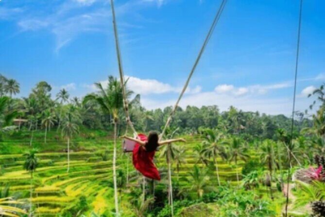 Ubud Tour: Waterfall, Sacred Temple, Rice Terrace, Monkey Forest - Key takeaways