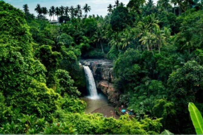 Ubud Tour: Waterfall, Sacred Temple, Rice Terrace, Monkey Forest - Cultural highlights and spiritual sites