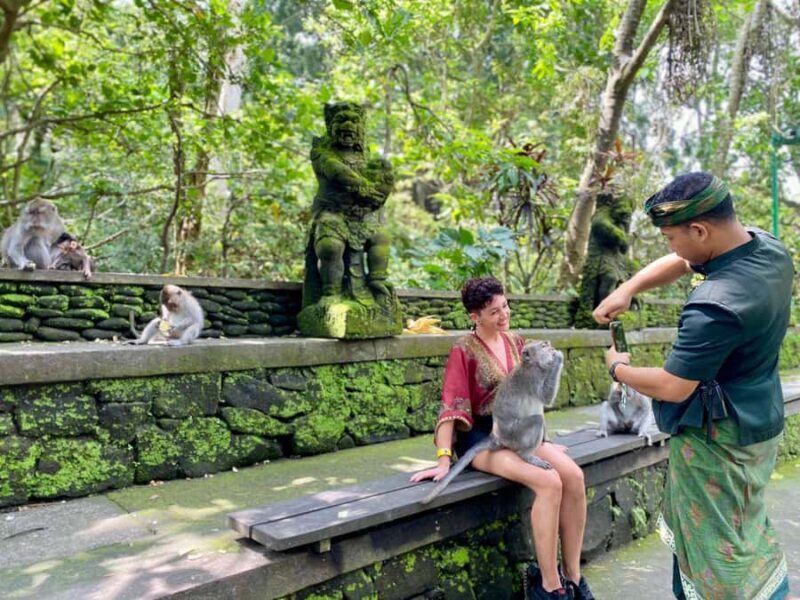 Ubud Tour with Optional English, Spanish and Italian Guide - What to Expect on the Ubud Tour