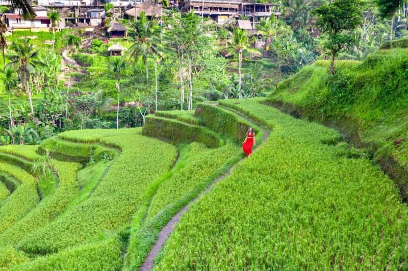 Ubud Tour with Optional English, Spanish and Italian Guide - The Real Deal: Is It Worth It?