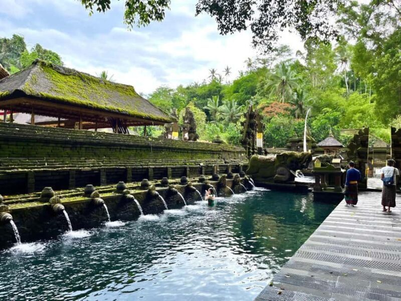 Ubud Tour with Optional English, Spanish and Italian Guide - Who Should Consider This Tour?