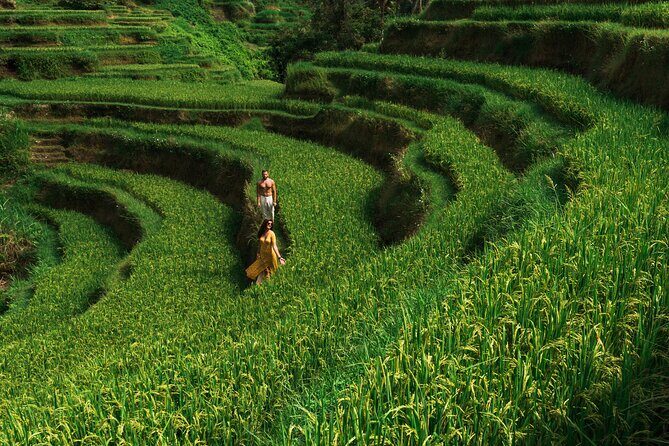 Ubud Tour with Swing, Waterfalls, Rice Terraces & Monkey Forest - Bali Bidadari Batik