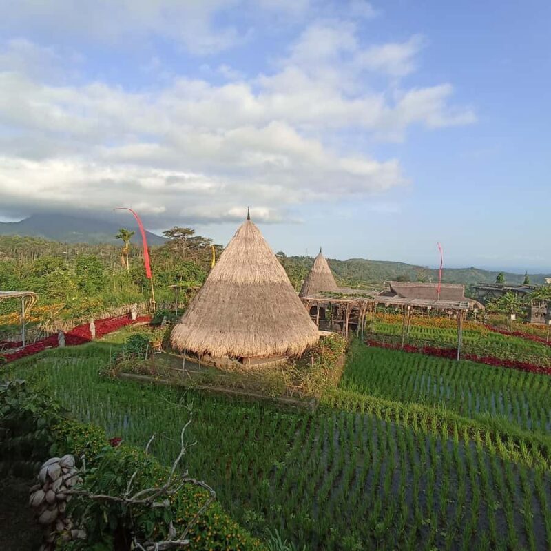 ubud trip monkey forest sanctuary - Heading to the Waterfall: A Refreshing Climax