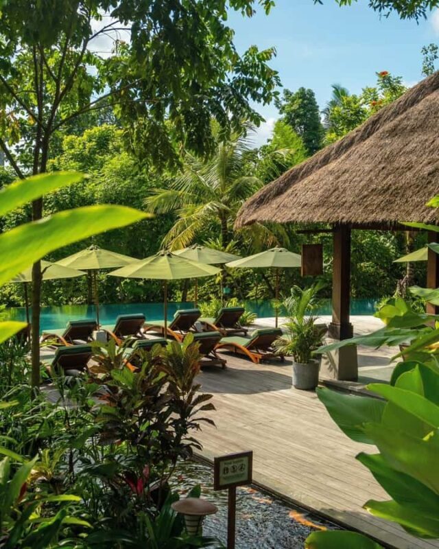 Ubud: Tropical Oasis Pool Bar Access & Dining E-Voucher - Authenticity and Value
