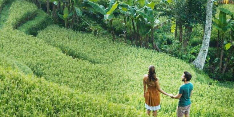 ubud-twilight-rice-terraces-art-cultural-feast