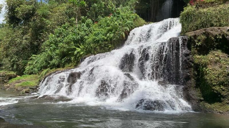 Ubud: Uma Anyar Waterfall, Goa Gajah Temple & Rice Terrace - Key Points