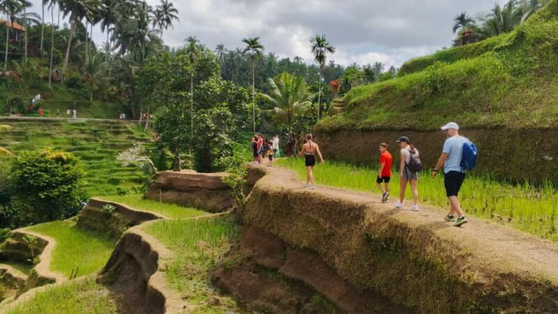 Ubud: Uma Anyar Waterfall, Goa Gajah Temple & Rice Terrace - FAQ