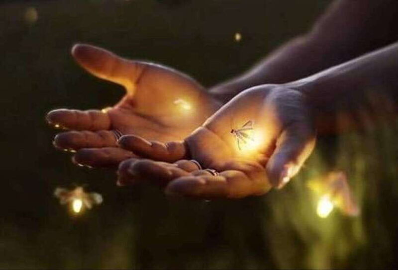 ubud-village-firefly-night-tour-with-dinner