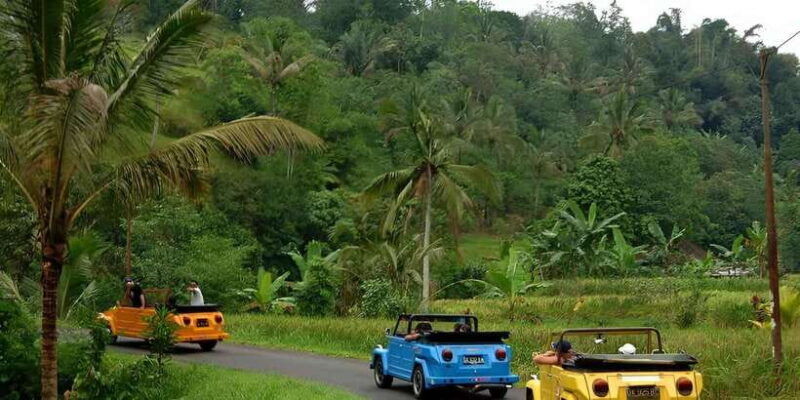 ubud-vw-safari-bali-tour