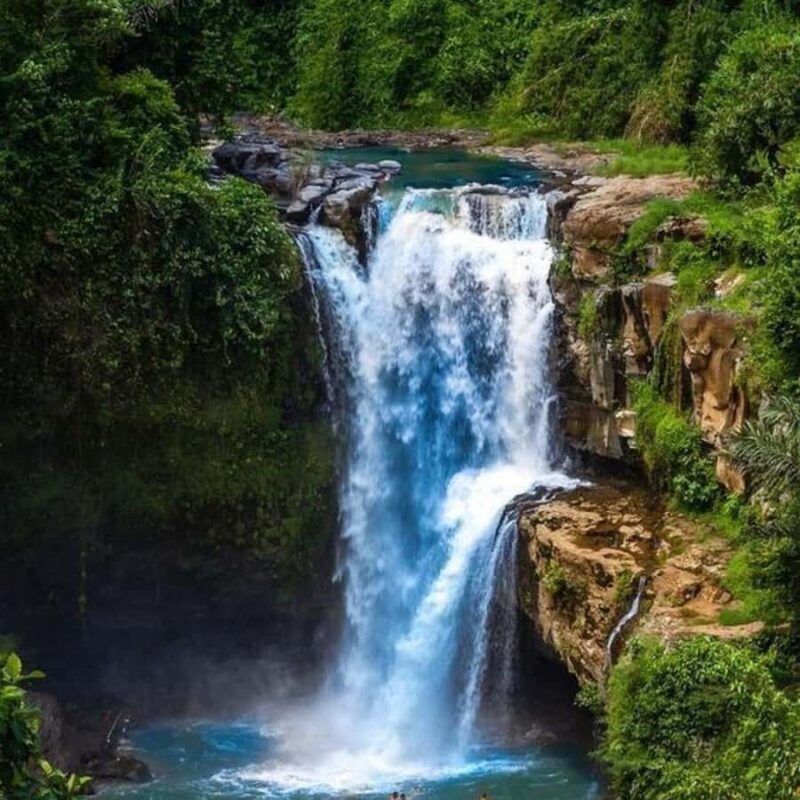 Ubud: Water Temple, Rice Terrace, Waterfall, Private Tour - The Sum Up