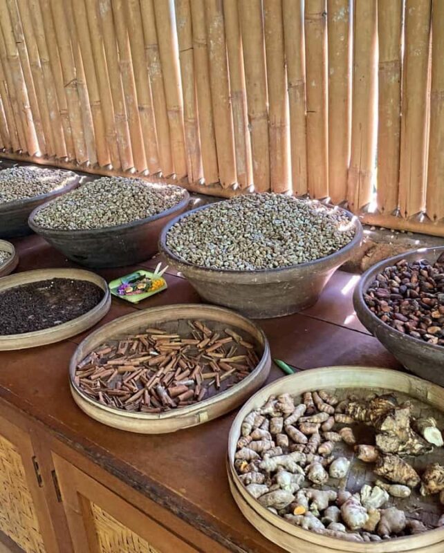 Ubud: Water Temple, Waterfalls and Rice Terrace Day Trip - The Experience: Pros and Cons