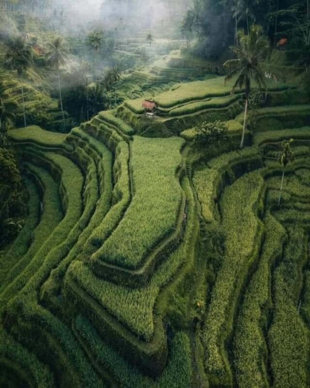 Ubud: Water Temple, Waterfalls and Rice Terrace Day Trip - Frequently Asked Questions