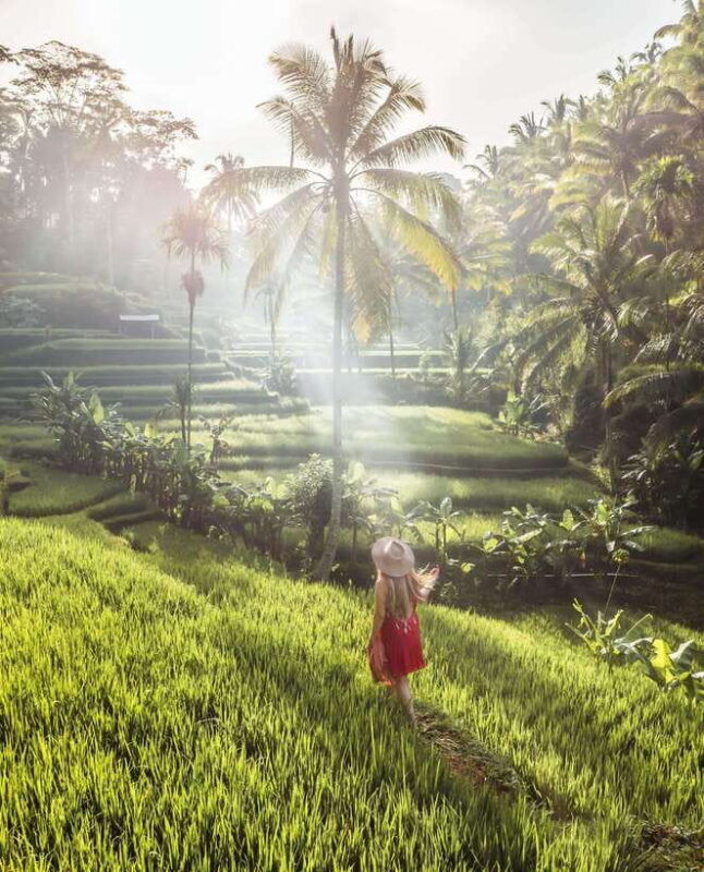 ubud-water-temples-waterfalls-and-rice-terraces-tour