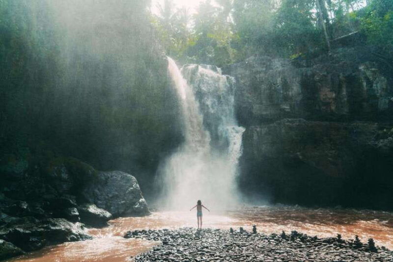 ubud-waterfall-rice-terrace-temple-private-day-tour