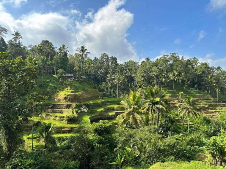 ubud-waterfall-rice-terrace-temple-private-day-tour